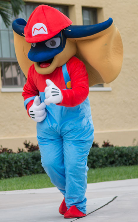 Miami Highs very own mascot, Whippy the Stingaree dressed as Mario for this years homecoming. 