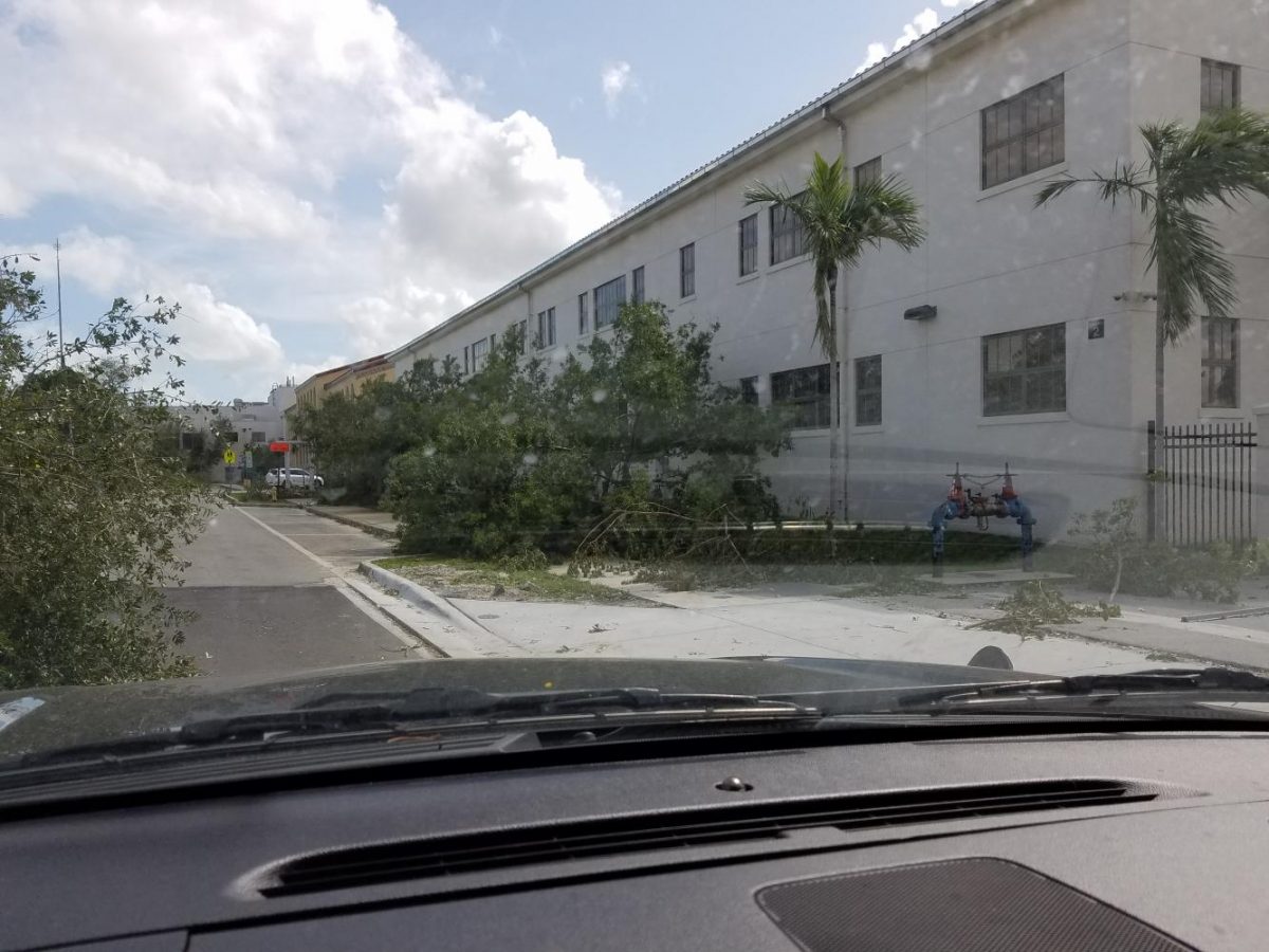 Principal Mr. Valdes drives by Miami High assessing minor damage done by Hurricane Irma.